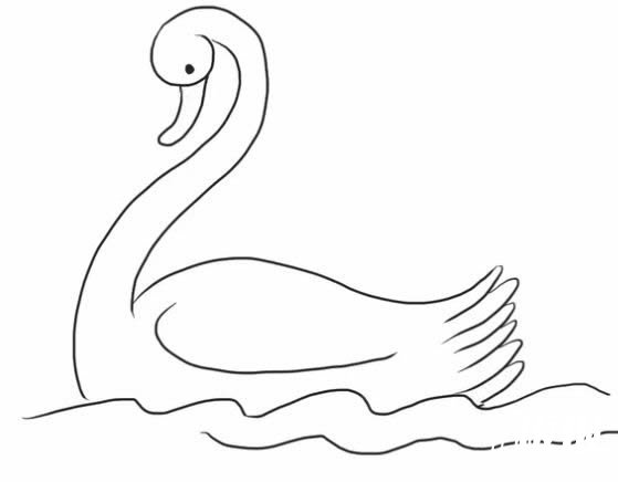 水中的白天鹅简笔画步骤图解