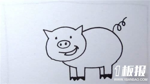 小猪简笔画的画法步骤图解