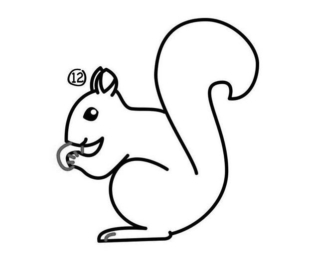 吃松果的小松鼠简笔画图片