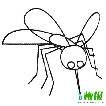 蚊子简笔画图片大全及画法步骤