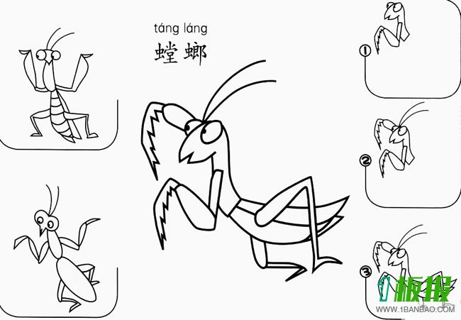 螳螂怎么画简笔画图片
