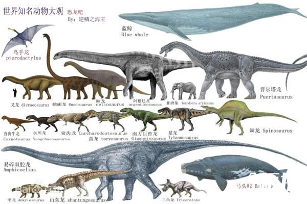 世界上最大的动物长80米，盘点20个巨型恐怖动物