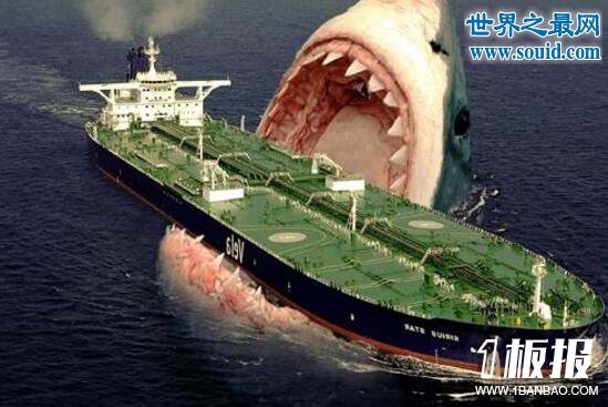 史前最大的鲨鱼，体长21米的巨牙鲨(以鲸鱼为食)