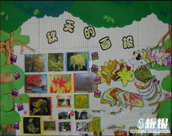 幼儿园秋天主题墙饰布置：秋天的画报