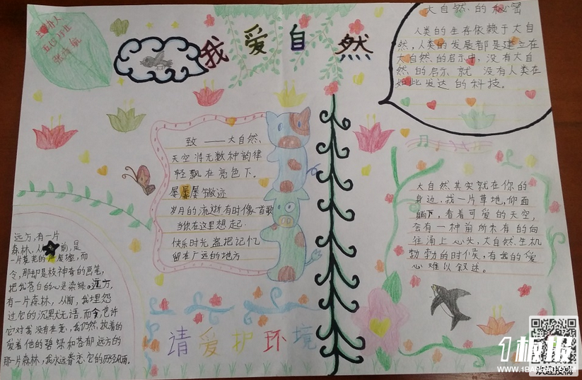 五年级植树节的手抄报-祖国的绿化