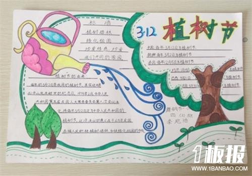 六年级植树节手抄报-中国的植树节