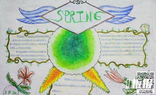 描写春天的手抄报-春天的柳树