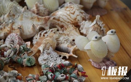 贝壳工艺品的制作方法和文化价值