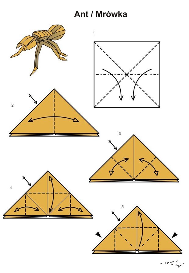 折纸蚂蚁的折纸方法1