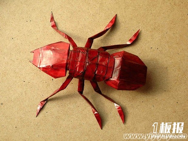 折纸蚂蚁,折纸,昆虫折纸