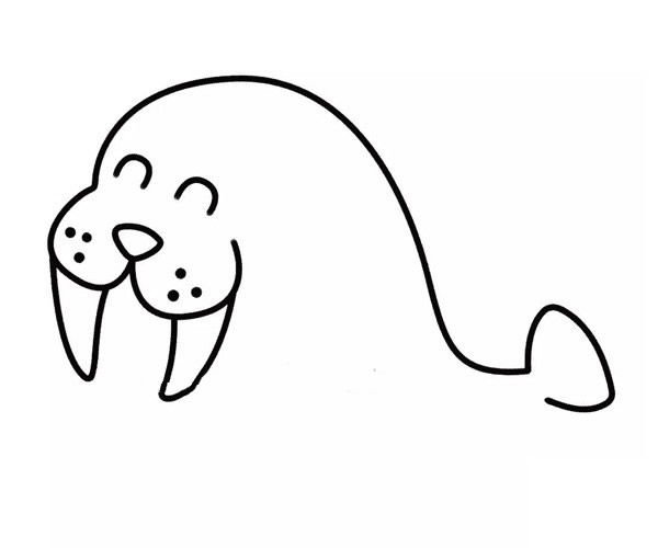 幼儿园海豹简笔画步骤4