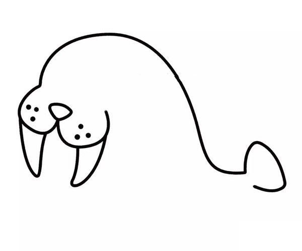 幼儿园海豹简笔画步骤3