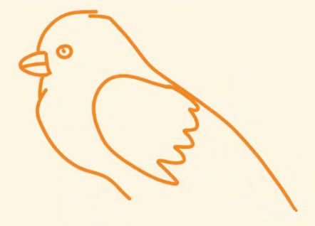 小鸟麻雀简笔画的画法步骤3