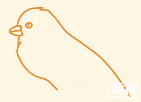 小鸟麻雀简笔画的画法步骤2