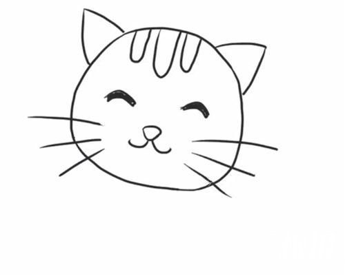 可爱小花猫简笔画的画法4