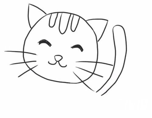 可爱小花猫简笔画的画法5