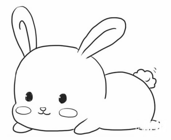可爱小兔子简笔画步骤6