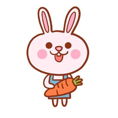 拿着胡萝卜的小兔子简笔画6