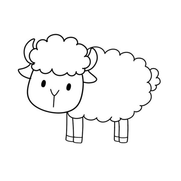 吃草的羊简笔画的画法5