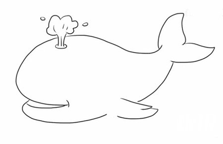 可爱鲸鱼简笔画步骤5
