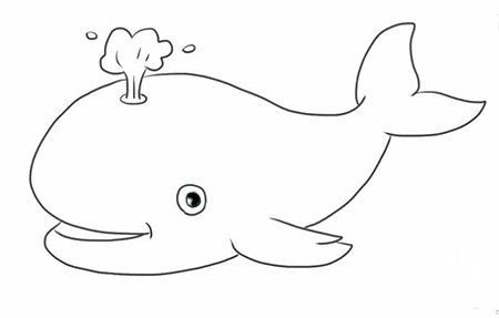 可爱鲸鱼简笔画步骤6