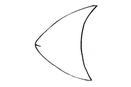 三角形热带鱼简笔画1