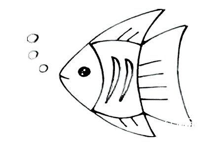 三角形热带鱼简笔画6