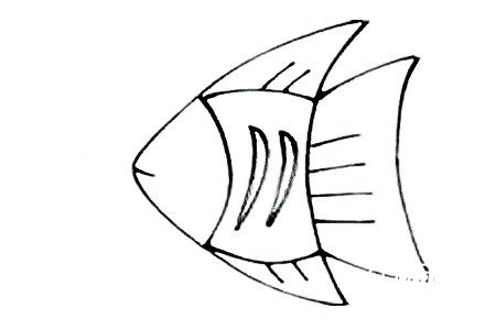 三角形热带鱼简笔画5