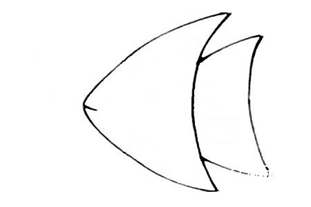 三角形热带鱼简笔画2