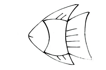 三角形热带鱼简笔画4