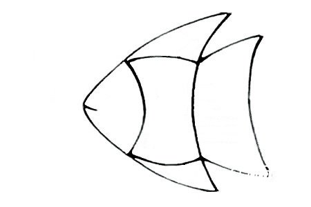 三角形热带鱼简笔画3