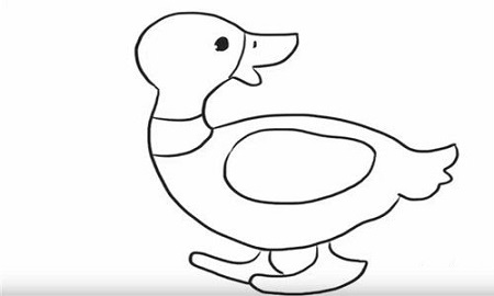 简单小鸭子简笔画的画法6