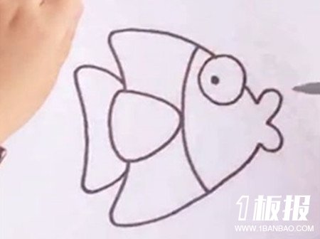 卡通热带鱼简笔画的画法3