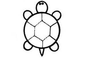 简单的乌龟简笔画的画法