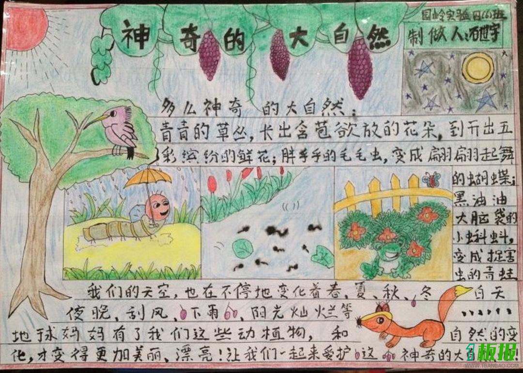 关于生物链的手抄报1